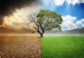 Como as mudanças climáticas podem interferir no cenário agropecuário?
